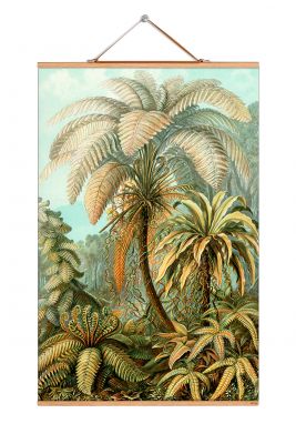 Ernst Heinrich Philipp August Haeckel Poster No 08 eicie SINGLE PIECES